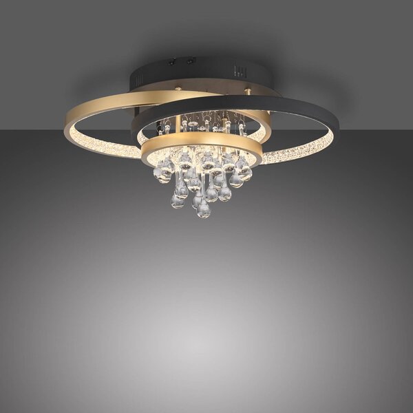 Paul Neuhaus Lampa sufitowa LED Rotazo, możliwość ściemniania, czarny, salon / jadalnia, aluminium, nowoczesny