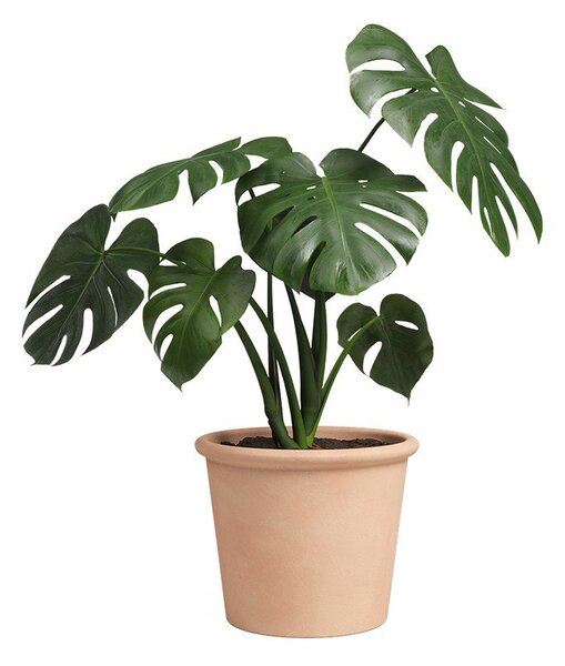 Terakotowa doniczka ø 18 cm Saramago Cilindro – Artevasi