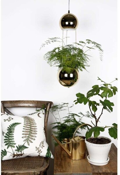 Globen Lighting - Mini Planter Lampa Wisząca Brass