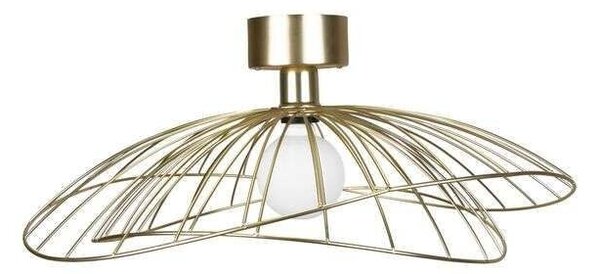Globen Lighting - Ray Lampa Sufitowa/Lampa Ścienna Brass Globen Lighting