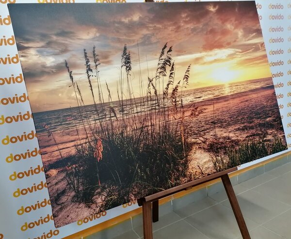 Obraz zachód słońca na plaży