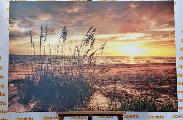 Obraz zachód słońca na plaży