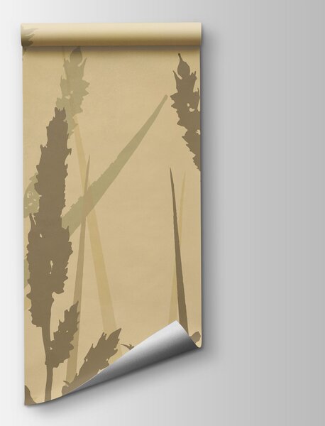 Fototapeta Wysoka trawa na zamglonym polu, Fototapety Natura, Popularne Fototapety, t00996 - Tapeko.pl