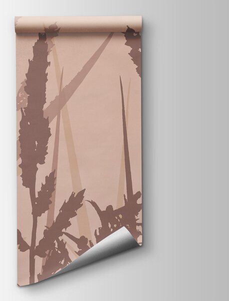 Fototapeta Wysoka trawa o wysokich łodygach, Nowoczesne Fototapety, Popularne Fototapety, t00996v4 - Tapeko.pl