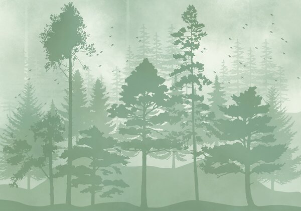 Fototapeta Grupa drzew w lesie, Fototapety Natura, Popularne Fototapety, t01007v1 - Tapeko.pl