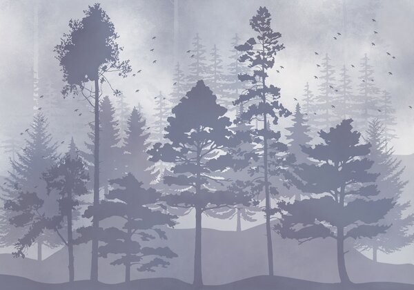 Fototapeta Grupa drzew w zamglonym lesie, Fototapety Natura, Popularne Fototapety, t01007v4 - Tapeko.pl