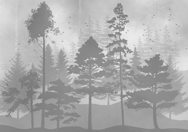 Fototapeta Grupa drzew w lesie, Fototapety Natura, Popularne Fototapety, t01007v2 - Tapeko.pl