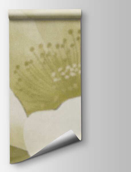 Fototapeta Delikatne piękno w łagodnych odcieniach, Fototapety Kwiaty, Popularne Fototapety, t01008v5 - Tapeko.pl