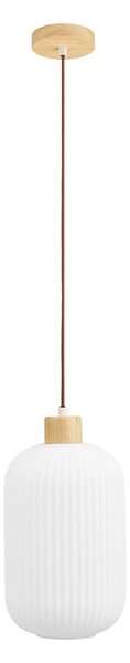 Biała lampa wisząca ze szklanym kloszem ø 20 cm Argalo – House Nordic