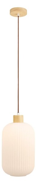 Biała lampa wisząca ze szklanym kloszem ø 20 cm Argalo – House Nordic