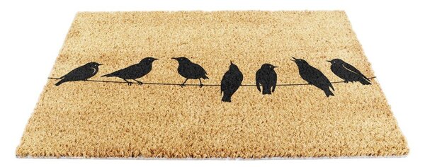 Wycieraczka z włókna kokosowego 60x90 cm Birds On a Wire – Artsy Doormats