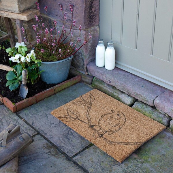 Wycieraczka z włókna kokosowego 40x60 cm Pencil Robin – Artsy Doormats