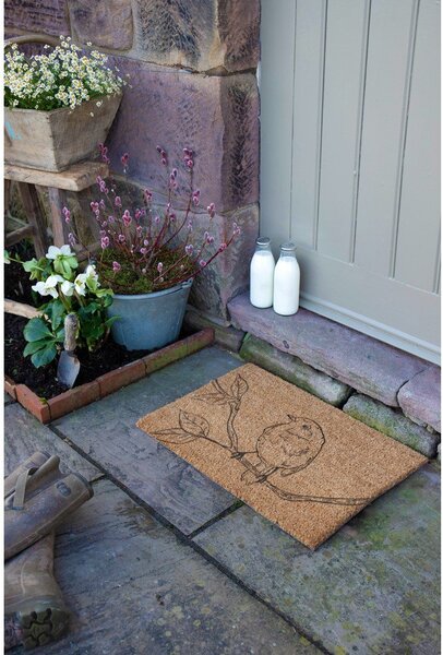 Wycieraczka z włókna kokosowego 40x60 cm Pencil Robin – Artsy Doormats