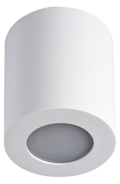 Kanlux LED Plafon łazienkowy SANI 1xGU10/10W/230V IP44 biały KX0276