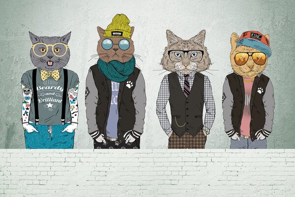 Fototapeta Grupa kotów w ubraniach, Fototapety z zwierzętami, Popularne Fototapety, u28592v1 - Tapeko.pl