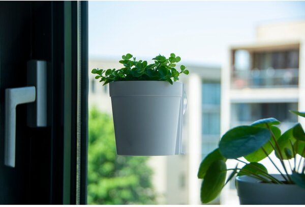 Plastikowe wiszące i ścienne doniczki zestaw 2 szt. ø 10 cm – Esschert Design
