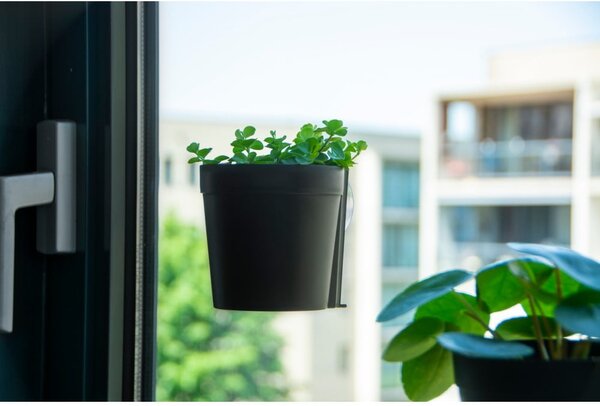 Plastikowe wiszące i ścienne doniczki zestaw 2 szt. ø 10 cm – Esschert Design