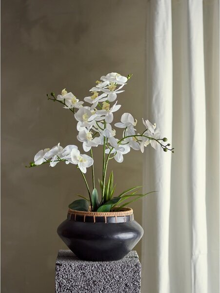 Sztuczny kwiat (wysokość 84 cm) Orchid – Bloomingville