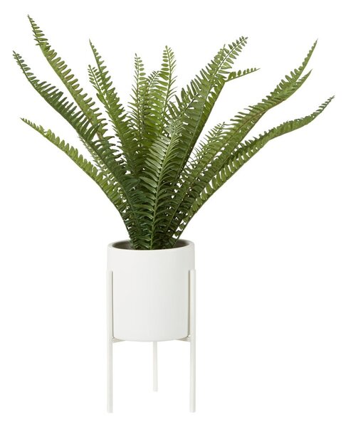 Sztuczna paproć (wysokość 56 cm) Fiori – Premier Housewares