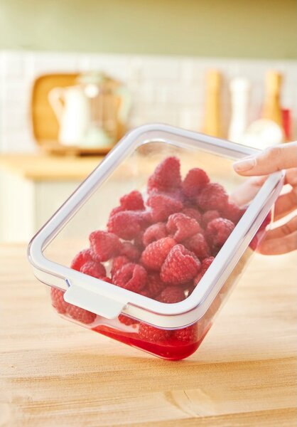 Plastikowy organizer do lodówki Cauma – Rotho