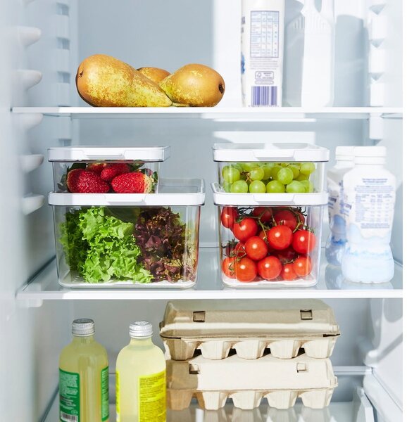 Plastikowy organizer do lodówki Cauma – Rotho