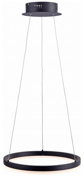 Paul Neuhaus Paul Neuhaus 2381-13 - LED Ściemniany żyrandol na lince TITUS LED/28W/230V W2384