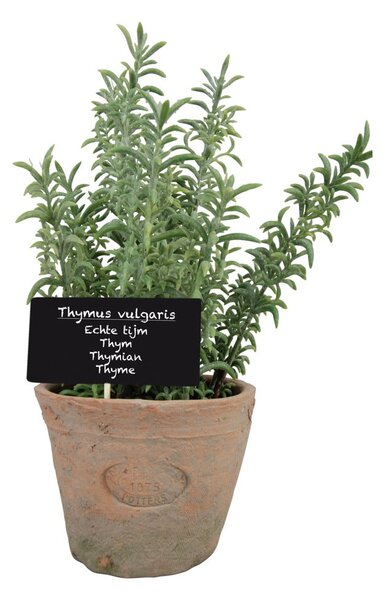 Sztuczna roślina (wysokość 21,5 cm) Thyme – Esschert Design