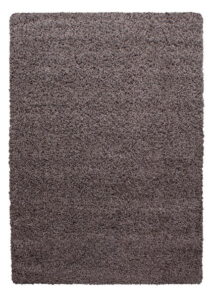 Brązowy dywan 80x150 cm Life – Ayyildiz Carpets