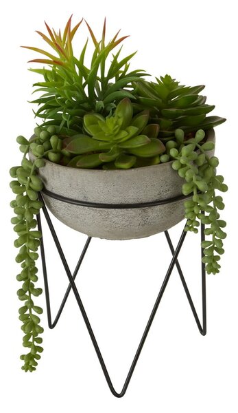 Sztuczny sukulent (wysokość 36 cm) Fiori – Premier Housewares