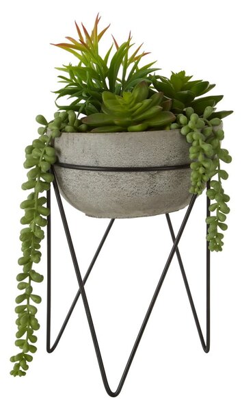 Sztuczny sukulent (wysokość 36 cm) Fiori – Premier Housewares