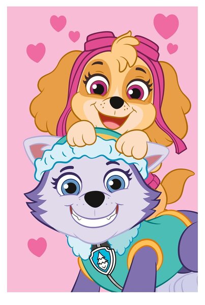 Polarowy koc dziecięcy 100x150 cm Paw Patrol – Jerry Fabrics