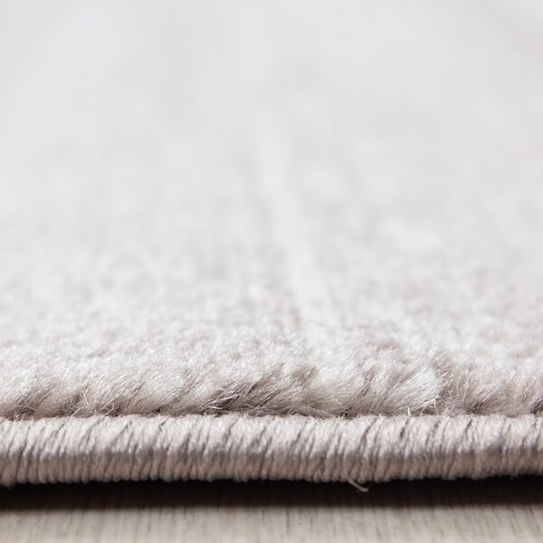 Beżowy dywan 80x150 cm Plus – Ayyildiz Carpets