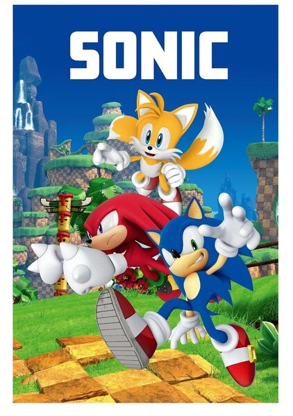 Polarowy koc dziecięcy 100x150 cm Sonic – Jerry Fabrics