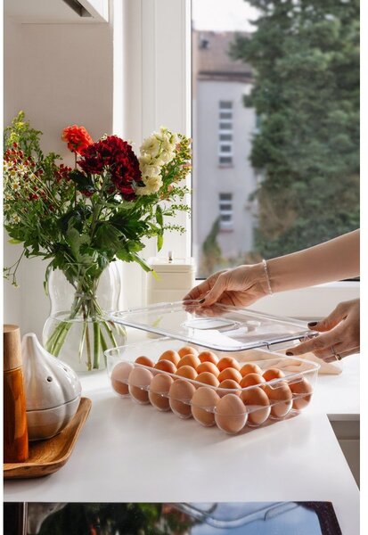 Plastikowy organizer na jajka do lodówki 33x21 cm – Casa De Engel