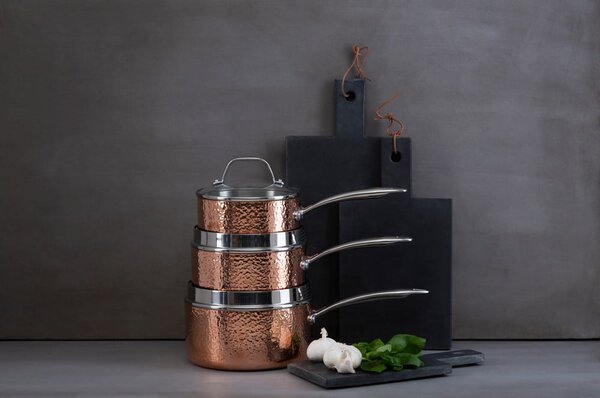 Garnek ze stali nierdzewnej z pokrywką 1,55 l Minerva – Premier Housewares