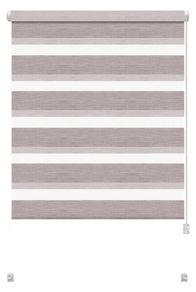 Szarobrązowa roleta dzień i noc 42,5x150 cm Zebra Silvalin – Gardinia