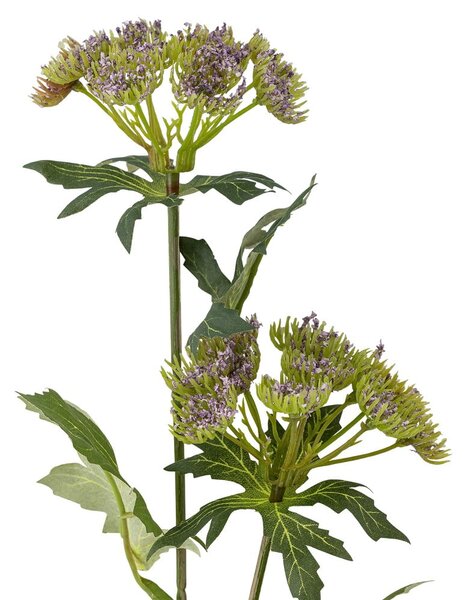 Sztuczna roślina (wysokość 49 cm) Throatwort – Bloomingville