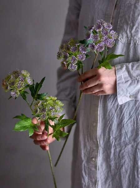 Sztuczna roślina (wysokość 49 cm) Throatwort – Bloomingville