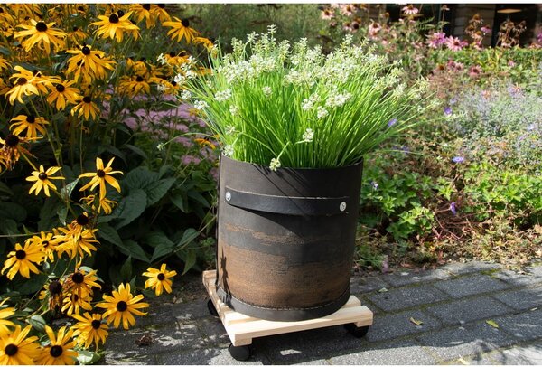 Drewniany kwietnik na kółkach (wysokość 8 cm) Indoor & Outdoor – Esschert Design