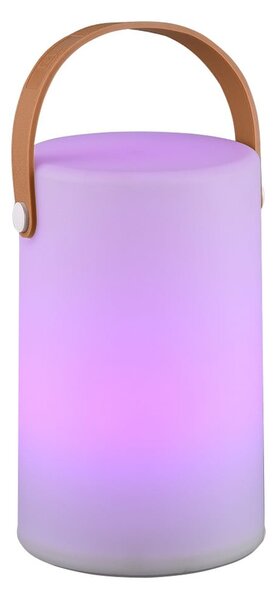 Solarna lampa zewnętrzna LED ze zdalnym sterowaniem (wysokość 21 cm) Aruba – Reality