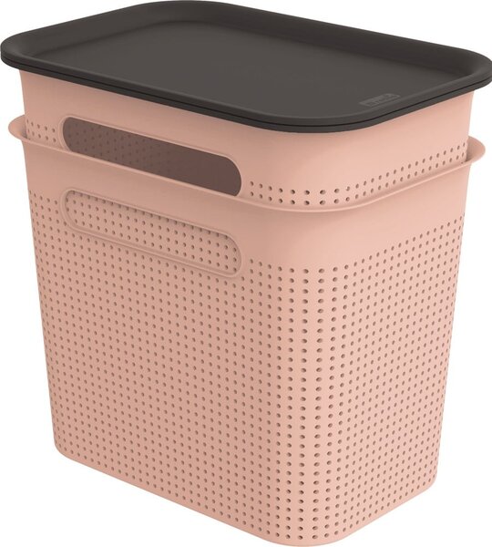 Jasnoróżowe plastikowe pojemniki z pokrywką zestaw 2 szt. 18,5x27x26 cm Brisen – Rotho