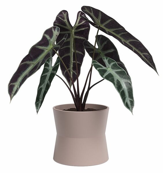 Ceramiczna doniczka ø 14 cm Diana – Artevasi