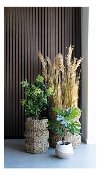Sztuczna roślina (wysokość 60 cm) Fig – House Nordic