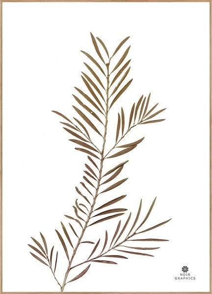 Obraz 30x40 cm Grace – Malerifabrikken