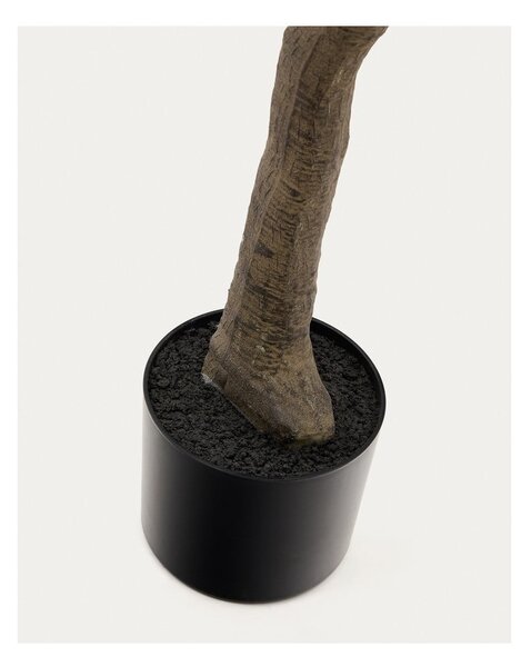 Sztuczny fikus (wysokość 210 cm) Ficus – Kave Home