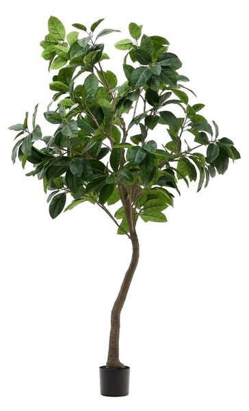 Sztuczny fikus (wysokość 210 cm) Ficus – Kave Home