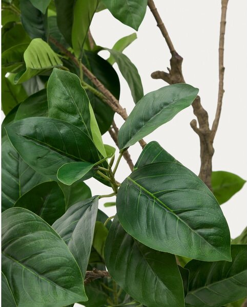 Sztuczny fikus (wysokość 210 cm) Ficus – Kave Home