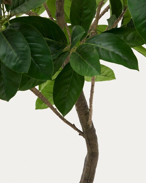 Sztuczny fikus (wysokość 210 cm) Ficus – Kave Home