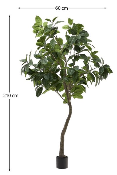 Sztuczny fikus (wysokość 210 cm) Ficus – Kave Home