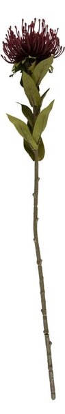 Sztuczny kwiat (wysokość 60 cm) Protea – PT LIVING